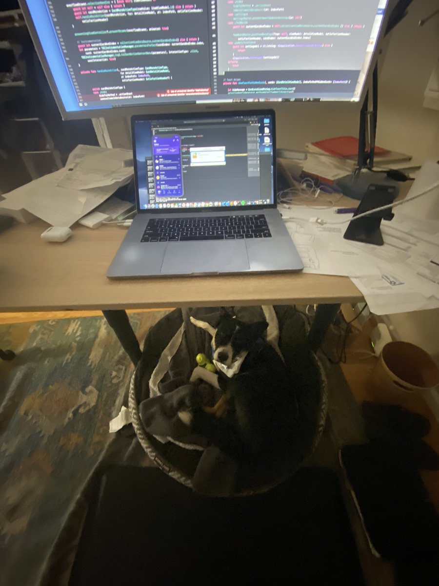 jamesrochabrun's tweet image. Apple should send you one of this as soon you install Xcode, just looking at him all it’s good again. #xcode11 #ios #apple #iosdev