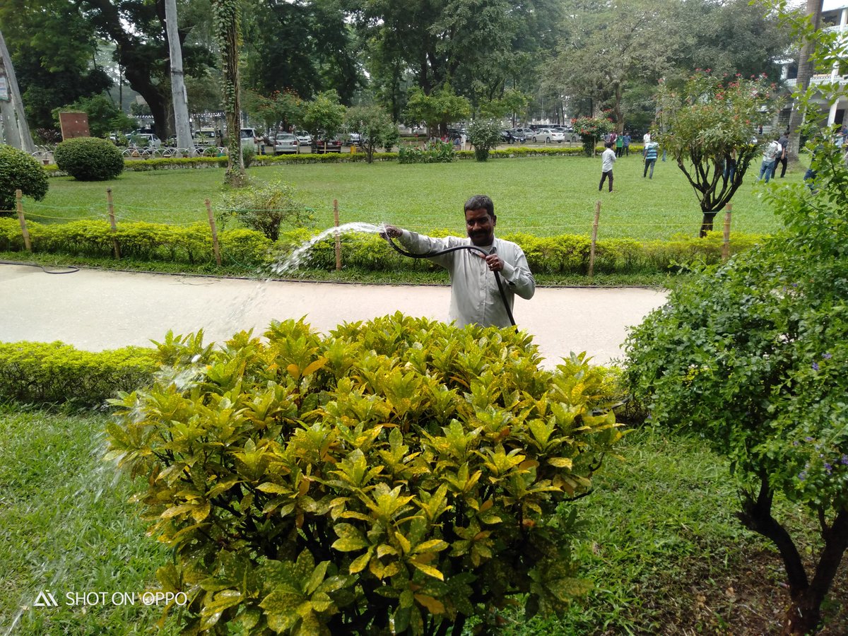 বাগান পরিচর্যায় ব্যস্ত মালী♥️