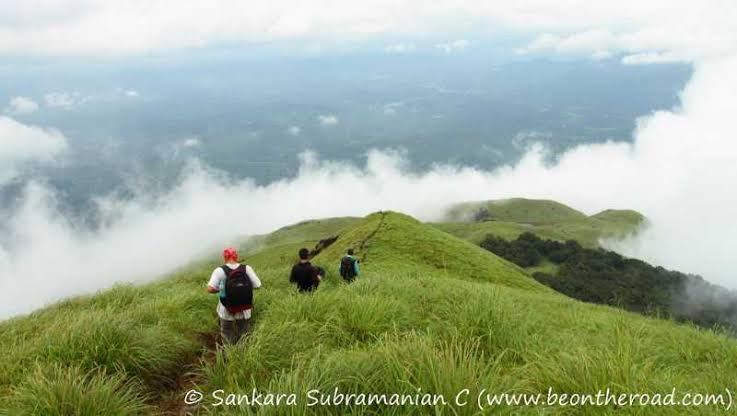 jansanGeorge's tweet photo. Always take the Scenic Route....

#Munnar
#KeralaTourism
#ShowcaseMunnar 
#ActivitiesinMunnar
#VisitMunnar 
#RealMunnar
#SMARTMunnarhotels
#honeymoondestination 
#Hillstationholiday 
#Adventureactivities #cloudsvalley 

Natural activities in Munnar... https://t.co/JLGj7EbAEx