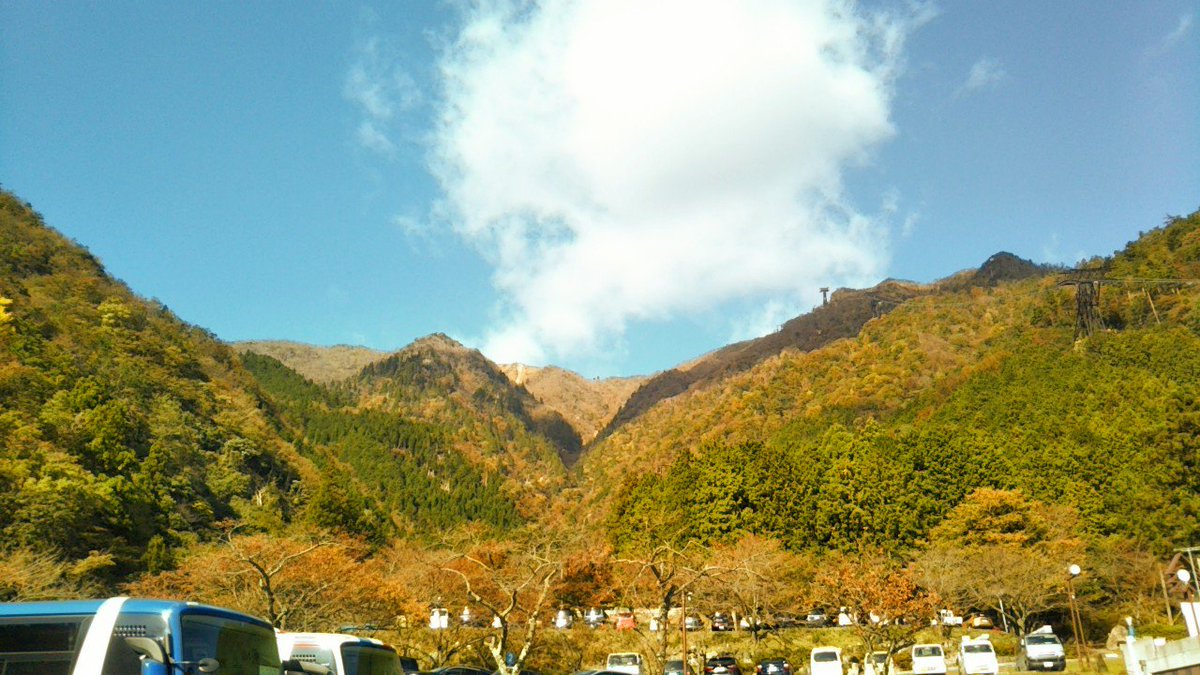 ふぉん グラッテコラボ最高 على تويتر 紅葉もしてたよって びわ湖バレイ