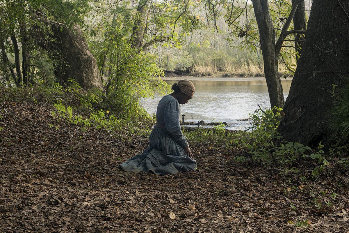 watch the forest online free 123movies