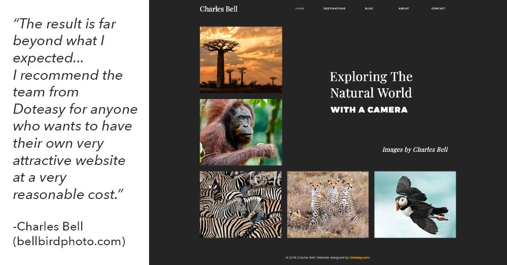 Doteasy Web Hosting tweet media