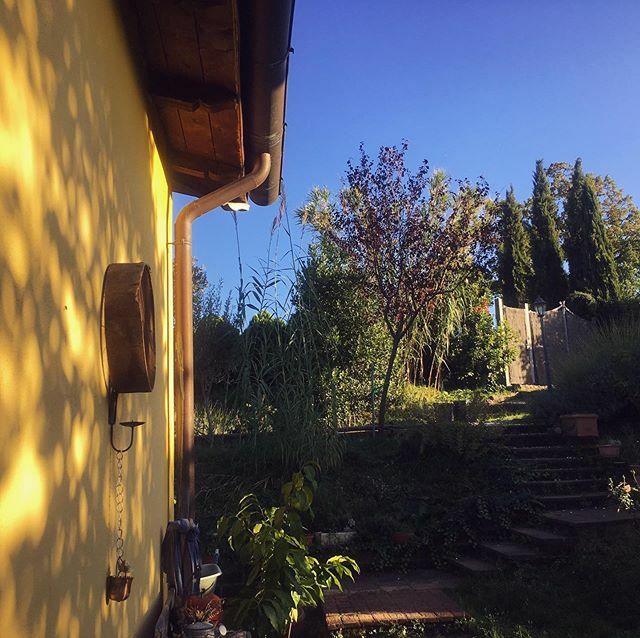 Spok Casa E Dove Si Trova Il Cuore Plinio Il Vecchio Home Is Where The Heart Is Plinio Il Vecchio T Co Grkw4otwwe T Co Rzy6hxqqln