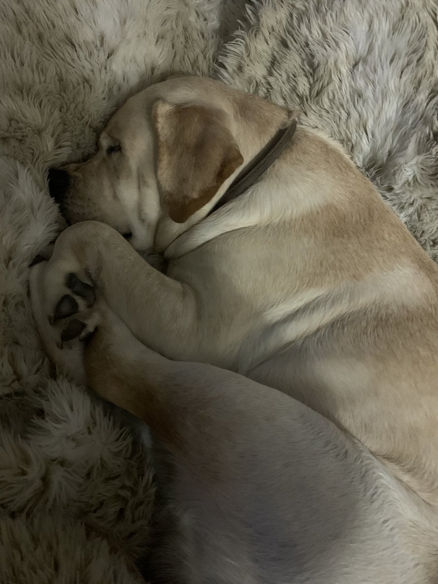 Hannahh_Mackk's tweet image. It’s been storming alllll night and I am LOVING it!! Even got my #thunderbuddy