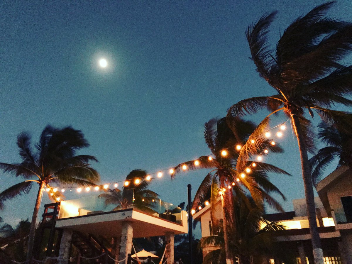 johncommon tweet media