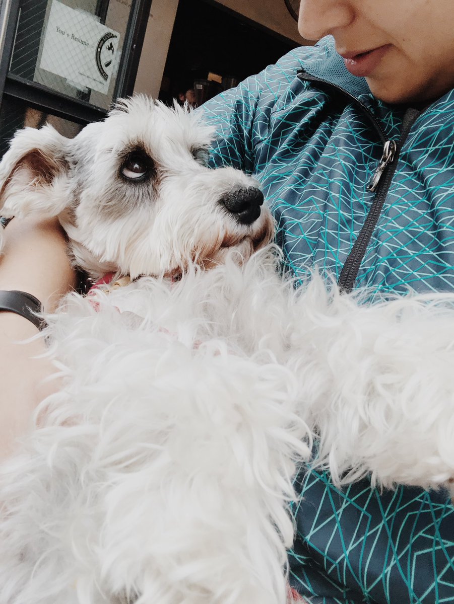 itstellez's tweet photo. Just a weekly “I miss and love my dog” post. 🤷🏽‍♀️ https://t.co/VdXl63K8Jm