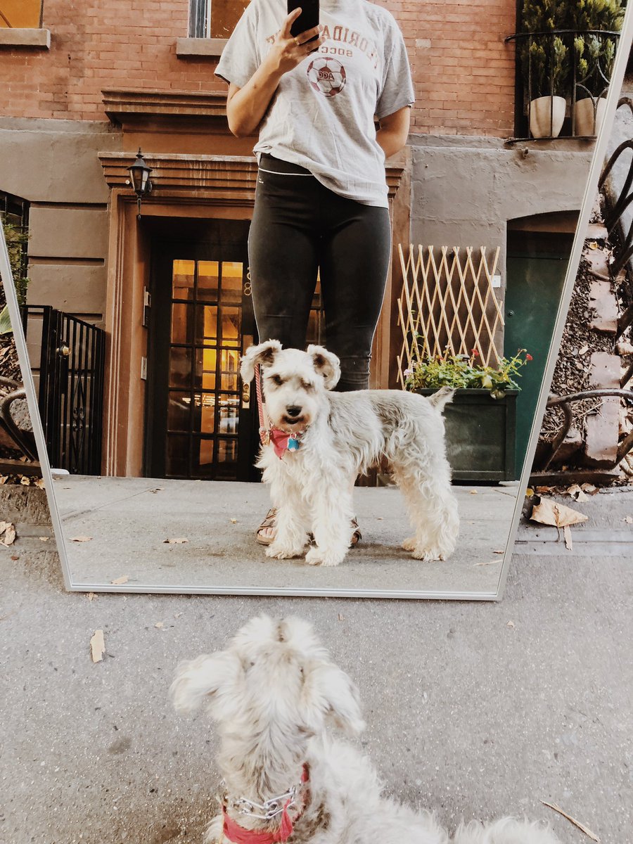 itstellez's tweet photo. Just a weekly “I miss and love my dog” post. 🤷🏽‍♀️ https://t.co/VdXl63K8Jm