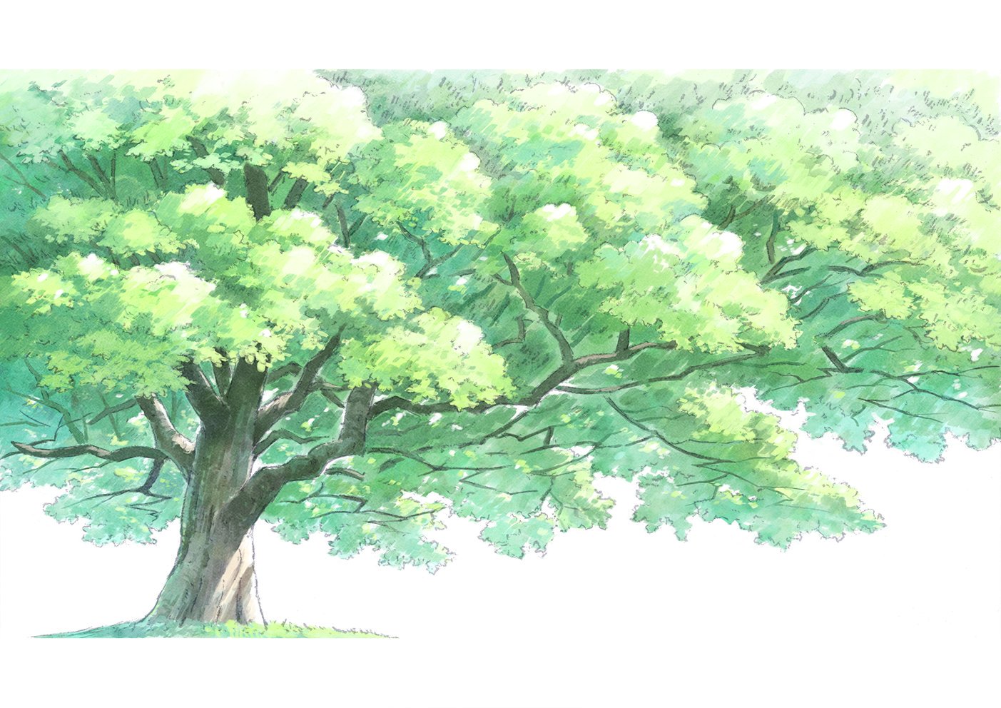 山口健一 背景 木 イラスト 水彩調で木を描いてみた T Co K1z3s4kcro Twitter