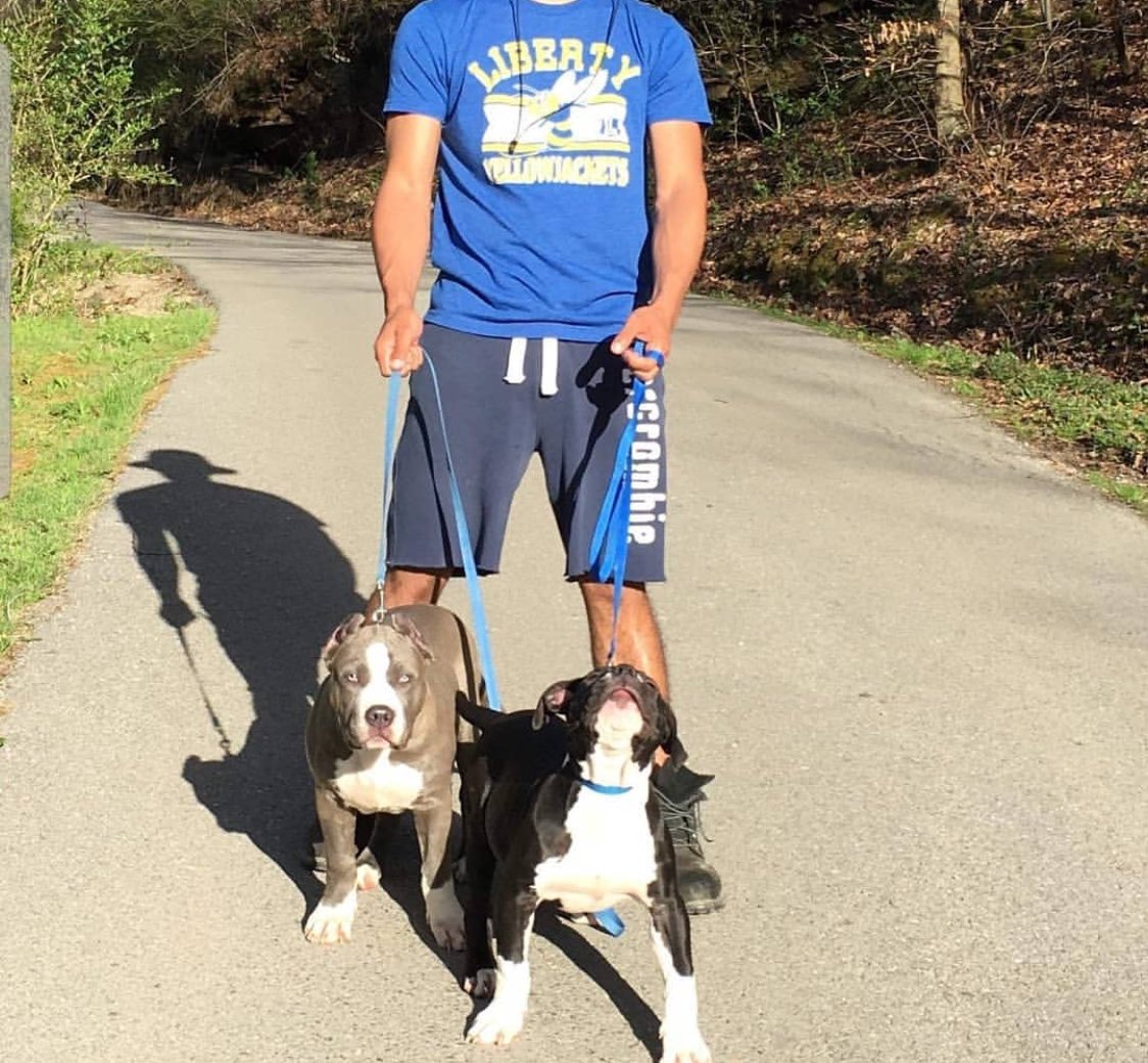 BuildABull's tweet image. Throwback from years ago!!! My first two XL Bully Dogs. #QueenGypsy &amp;amp; #Madea 👑👑👑👑👑👑