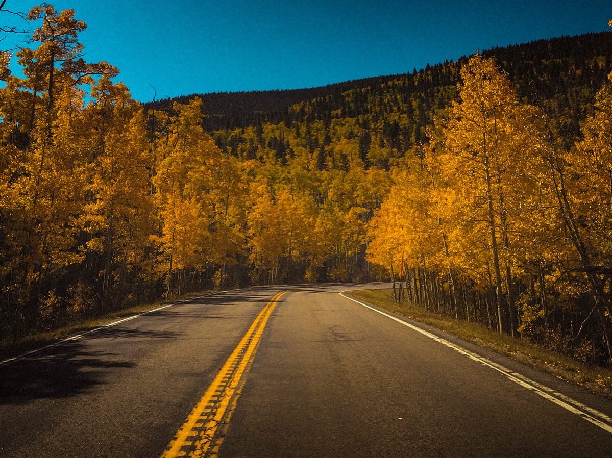 Tricky8891's tweet photo. Fall Pictures in early October. #mtabrams #milliondollarhighway #ouraycolorado #fallcolors #landscapephotography #amateurphotography #beautifulscenery #peaceful  #openroad #Colorado #beautifulcolorado #colorfulcolorado  #tmoyaadventures #roadtrip #travelphotography #scenicdrive https://t.co/Ow1ff5IBd6