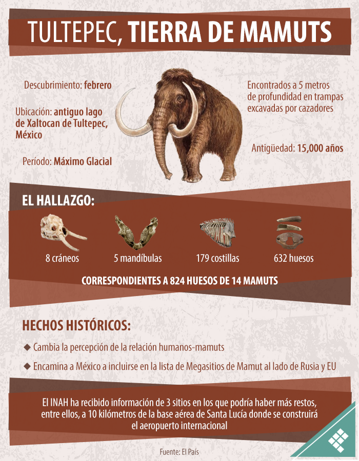 Quadratin_'s tweet photo. #Quadragrafía Tras hallarse 824 huesos de #mamut de más de 15 mil años de antigüedad, #Tultepec se ha convertido oficialmente en la tierra de mamuts. 🐘

Detalles: https://t.co/BU7v1SwvnL https://t.co/Wy5wBTPsm6