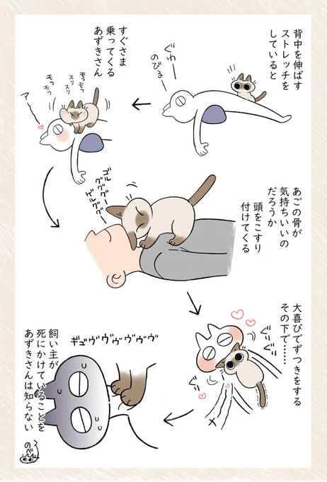 ねことのふれあいは時に命がけなのだ 