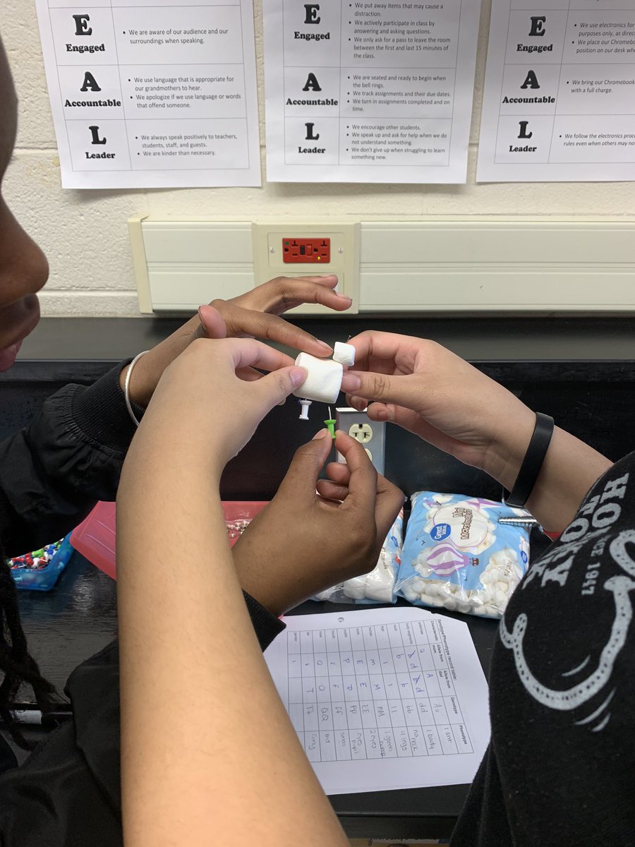 science_anderso's tweet photo. Students wrapping up #PunnettSquares and #Inheritance by making #BabyReebops. #biology #CarverAcad #CCPS_Science https://t.co/hq1mrb7MCt