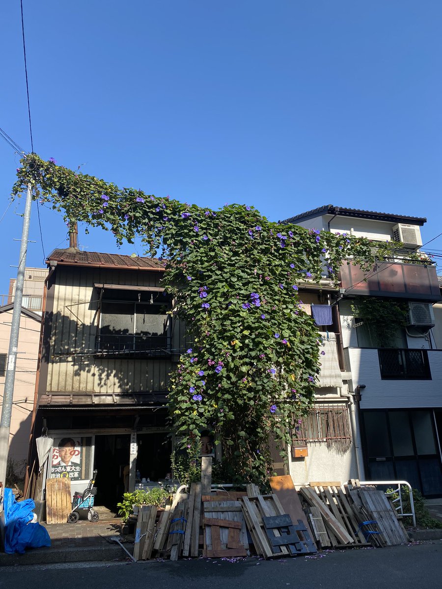 気持ちよさそうだー。