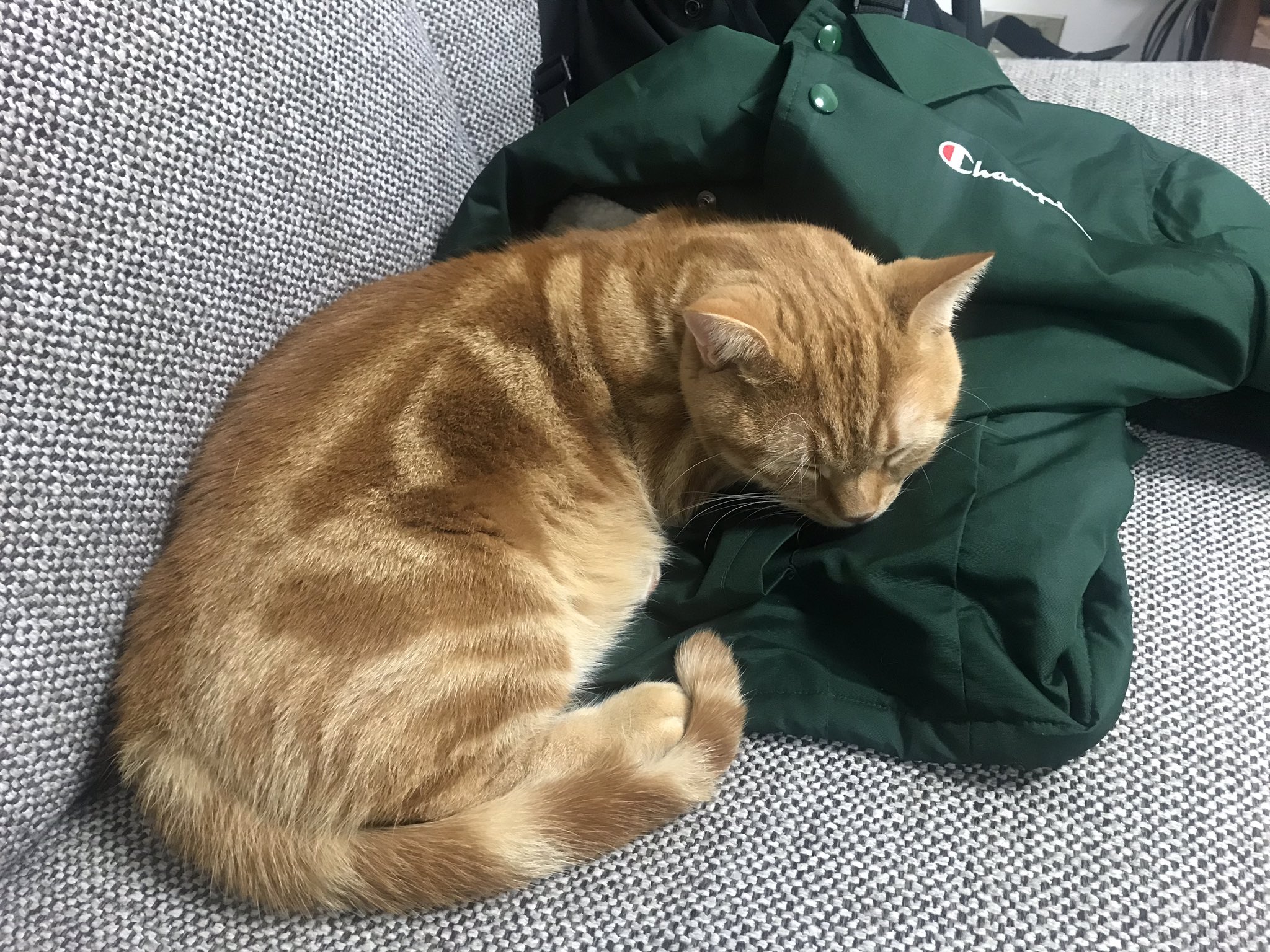 さらば青春の光 森田 On Twitter さらば青春の光クリスマス寄席のチケット販売はチケットぴあにて プレリザーブは明日からですよー 11月9日 土 プレリザーブ受付開始 11月16日 土 一般発売開始 前回も即完しておりますのでプレリザーブから是非ご応募