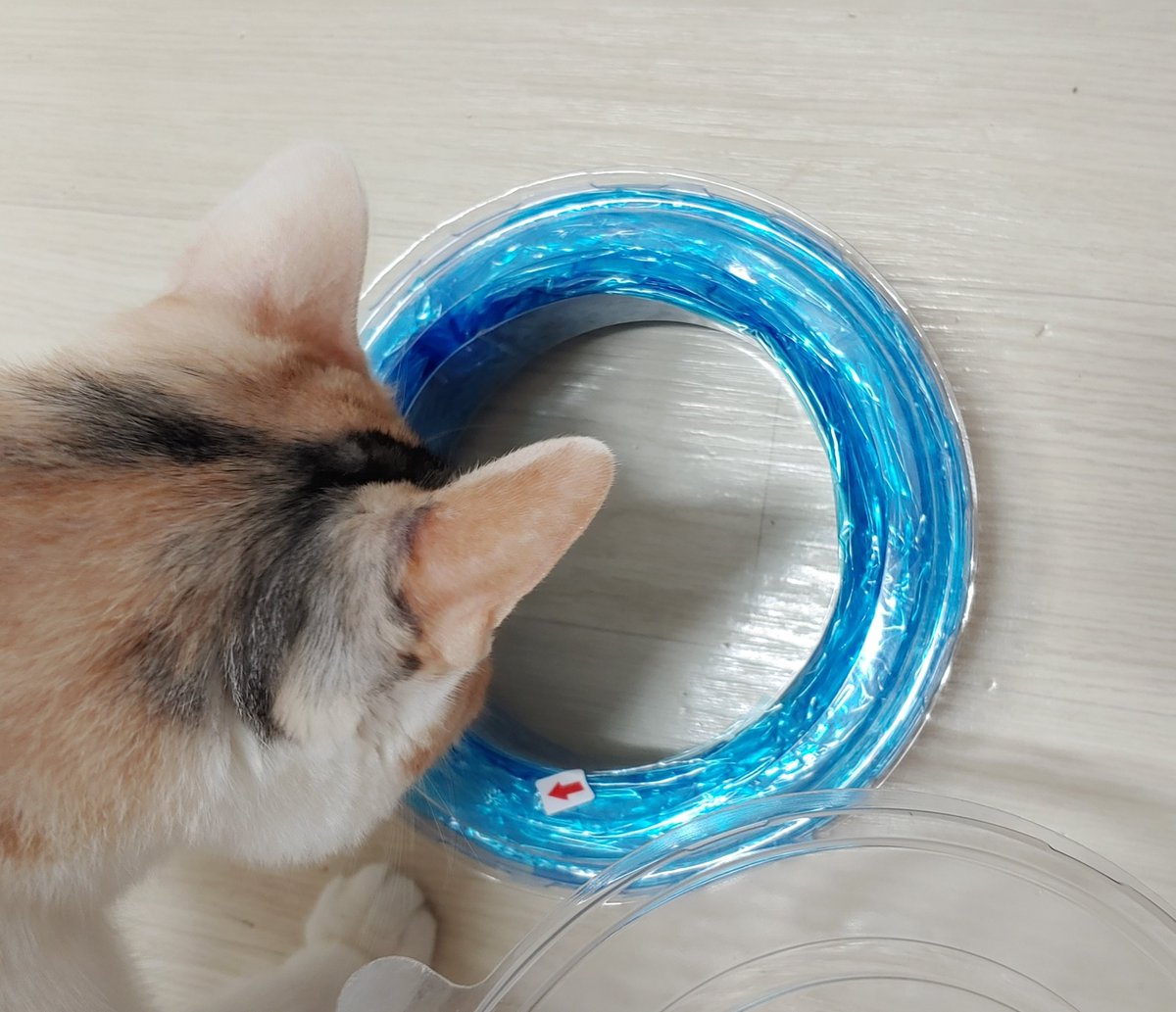 사용은 아주 간단합니다. 투명한 위의 뚜껑을 떼고 빨간 화살표 부분을 빼서 비닐을 꺼내면 됩니다.