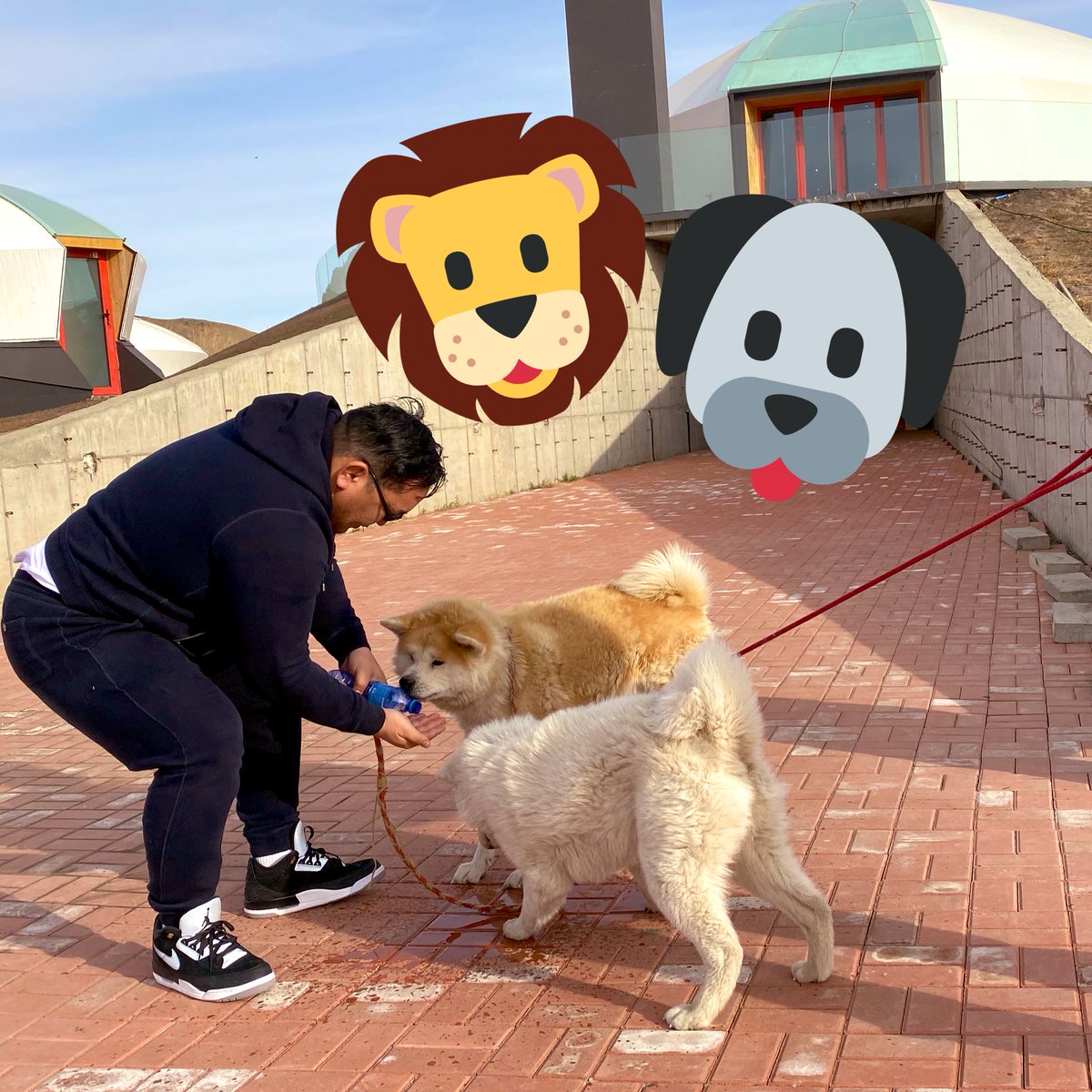 久々正雄、桜🌸ちゃん愛犬🐕