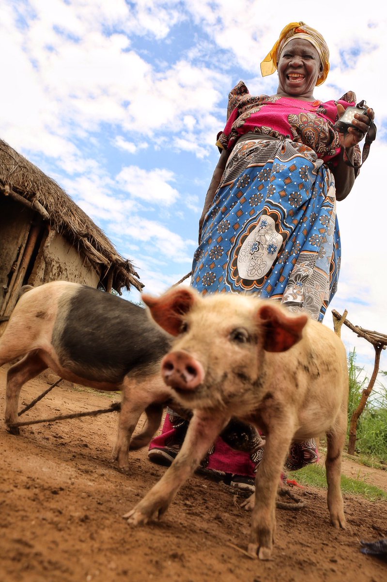 This is what success looks like. This Grandma received her solar light one year ago. With the money she saved by not purchasing paraffin, she was able to purchase a pig!

Goal set. Goal achieved. Goals will be surpassed!