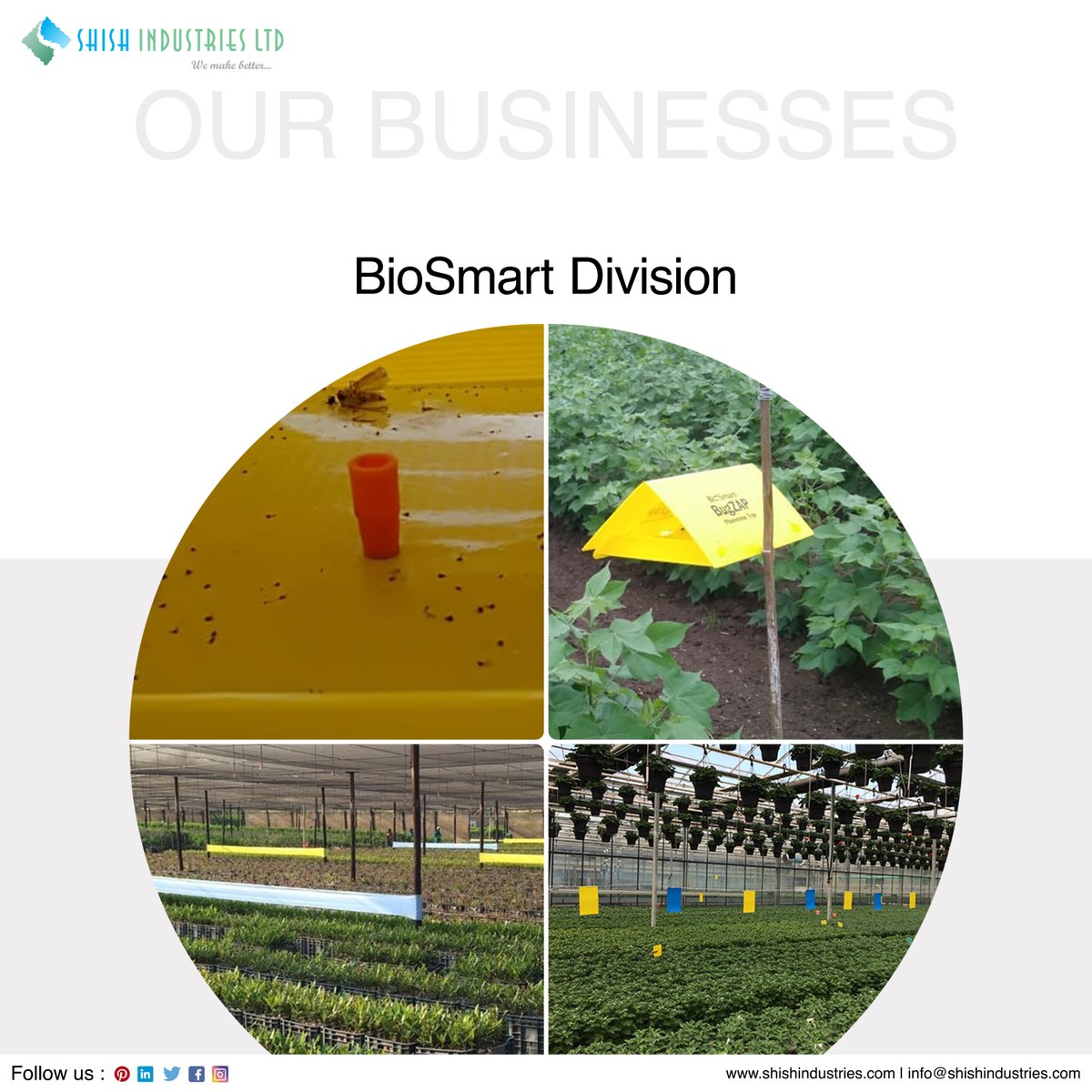 Shish provide you with the resources to help you make the best choices when it comes to your integrated pest management needs. we can help with our line of biocontrol products and biological controlmethods.
#insectmonitoring #biocontrol #greenhouse #environmentallyfriendly