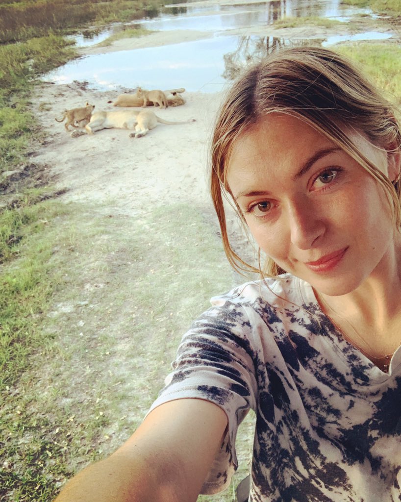 MariaSharapova's tweet photo. Welcome to Botswana, Africa!! 🌍🇧🇼 The video of roaring 🦁’s up on insta https://t.co/osyviHHpfg https://t.co/67i0gnEA3Q