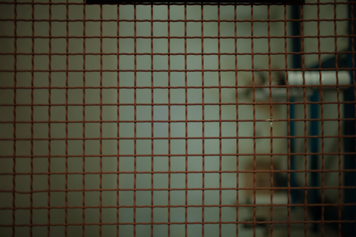 #Chronique de @Bleu_Perigord à retrouver sur notre site : 

memoires-en-friche.fr/presse/