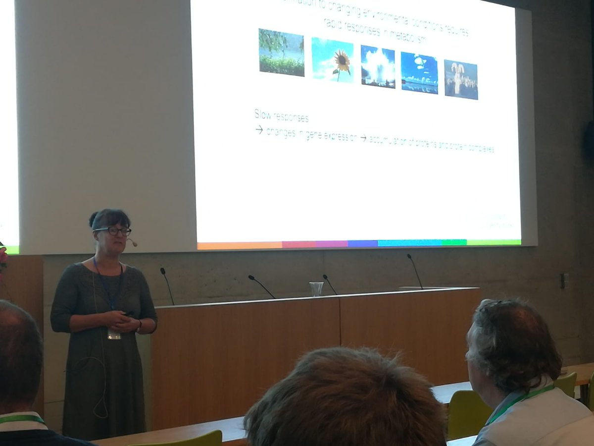 KirkOvermyer's tweet photo. Paula Mulo presented her work about the chloroplast acetyltransferase NSI and state transitions.  #PICW @FCoE_MBPP @UniTurku Read about this work here:
https://t.co/mXFSRUxjte https://t.co/5DbzPoX4lK