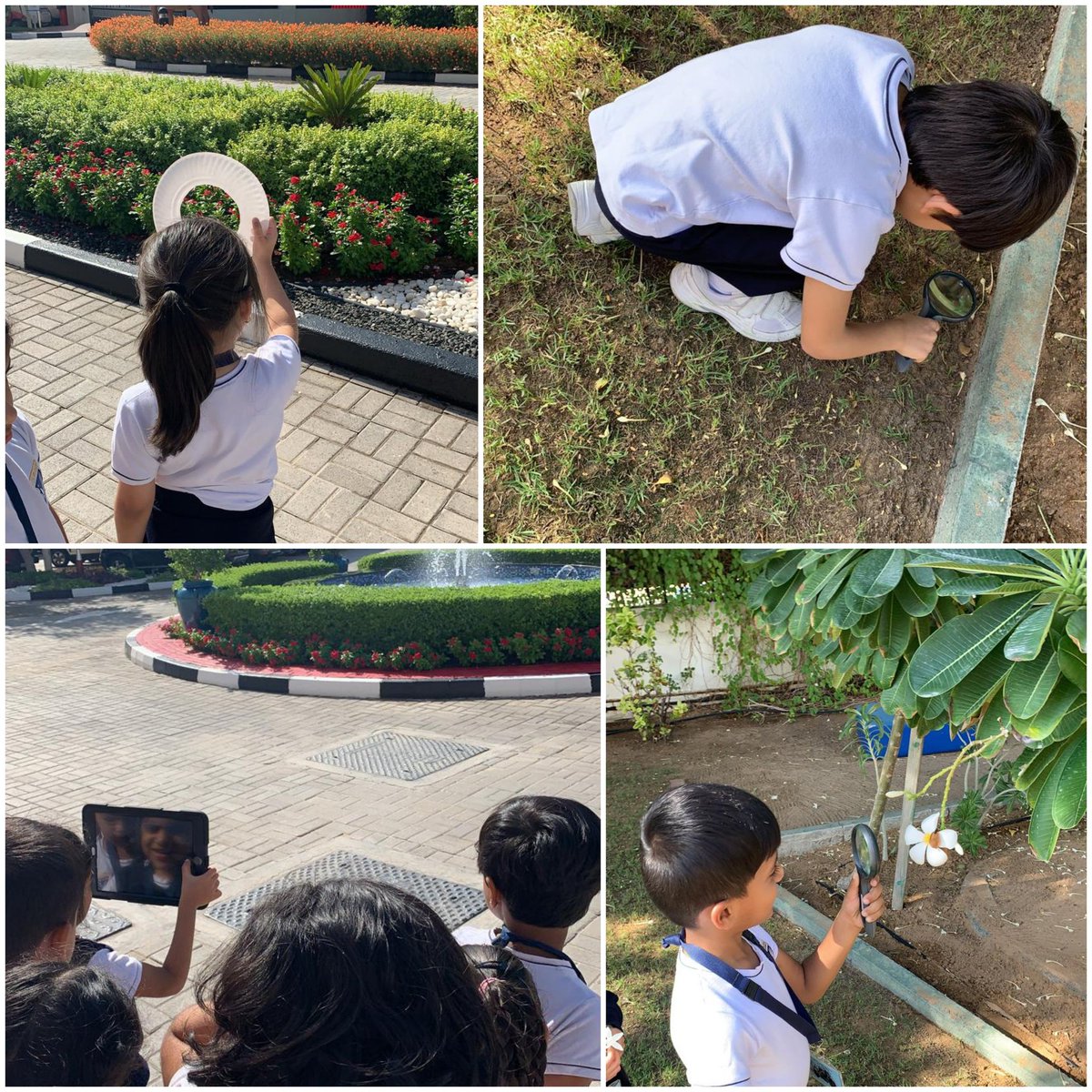 Reshma Borkar Fernandez (@senresh) on Twitter photo Learning is so much fun when the classroom is outdoors! <a href="/26Dakshamehta/">Daksha</a> <a href="/KNargish/">Nargish Khambatta</a> <a href="/kg_gma/">GMAKG</a> <a href="/gmascience/">GMA Science</a> <a href="/OutdoorClassDay/">Outdoor Classroom Day</a> Learning is so much fun when the classroom is outdoors! <a href="/26Dakshamehta/">Daksha</a> <a href="/KNargish/">Nargish Khambatta</a> <a href="/kg_gma/">GMAKG</a> <a href="/gmascience/">GMA Science</a> <a href="/OutdoorClassDay/">Outdoor Classroom Day</a>