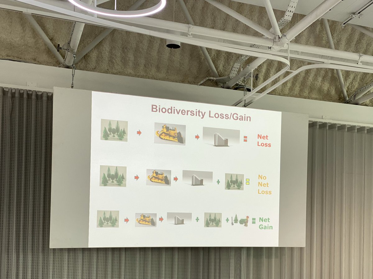 Net gain explained in the language of lego, by Nick White from #NaturalEngland  #riskandresilience #theDeveloperUk #ClimateEmergency #netgain