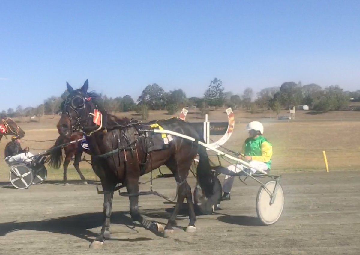 Darren Clayton (@dashman01) on Twitter photo Gest As Smart winning for Lola Weidemann <a href="/MarburgTrots/">Marburg Trots</a>
Lola wearing the green, yellow sleeves that were given to her by the McPhee family.
Emotional moment with the funeral of Dawn McPhee being held earlier today. #vale Gest As Smart winning for Lola Weidemann <a href="/MarburgTrots/">Marburg Trots</a>
Lola wearing the green, yellow sleeves that were given to her by the McPhee family.
Emotional moment with the funeral of Dawn McPhee being held earlier today. #vale