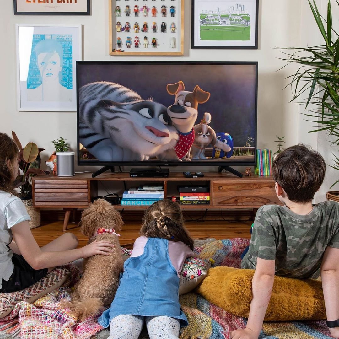 liquidideas's tweet image. Secret Life of Pets 2 is out now on DVD, Blu-ray and digital just in time for the weekend! Grab yourself a copy and settle down with your furry friend 🐶🐱 #SecretLifeofPets2