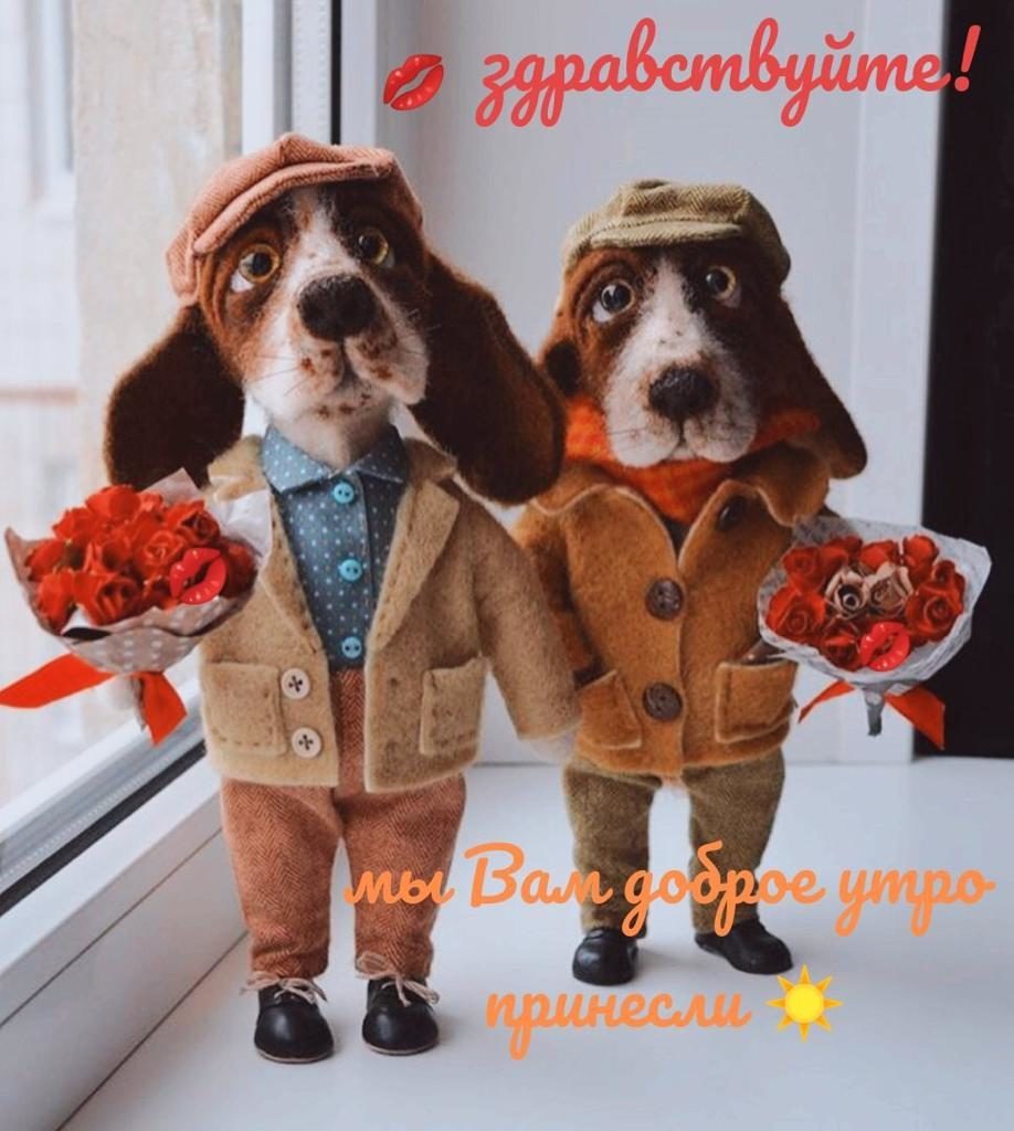 @Fa7CISxsfxjdyeo @ClaraKazachenko @KarinaLanovaya @OleshkoIrina @Olga_Zinovieva @Clara_Demina @Ksan_Kravchenko @yurshik @Djeihunbek @veronikasmolkov @DilyaMirsaidova @MariaFilatowa @Olegish10 @Baluinkognito @VValentina_S @emrekaraman2018 @Nata_Grigoryewa @Lydia_Gromova @Martha_Soboleva @Snezh_Fadeeva @AlbahrAlhadee3 @Lik_Marchenko @Milen_Moiseenko @Varvara2100 @_ogonek @_karmilita @DeiGloriya @Dana_Moreewa @Animala55 @KorneevAnatoly @hamyklyn @yakamilla8 @mi_la_ya_mila @galalaka @niteHolt @_raduzhnaya_ @styKonie @Irinaswit @vitanecrasova @_mgnovenie @zhuchenya2015 @sasa7844 @chernyj1974 @malta2803 @Lubava07489033 @LanaFom @Anatolii70 @donnarumata @VidRafael @Tatasazonova