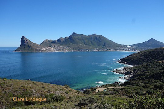 Newsletter: Cold Atlantic learntodivetoday.co.za/blog/2019/11/0…