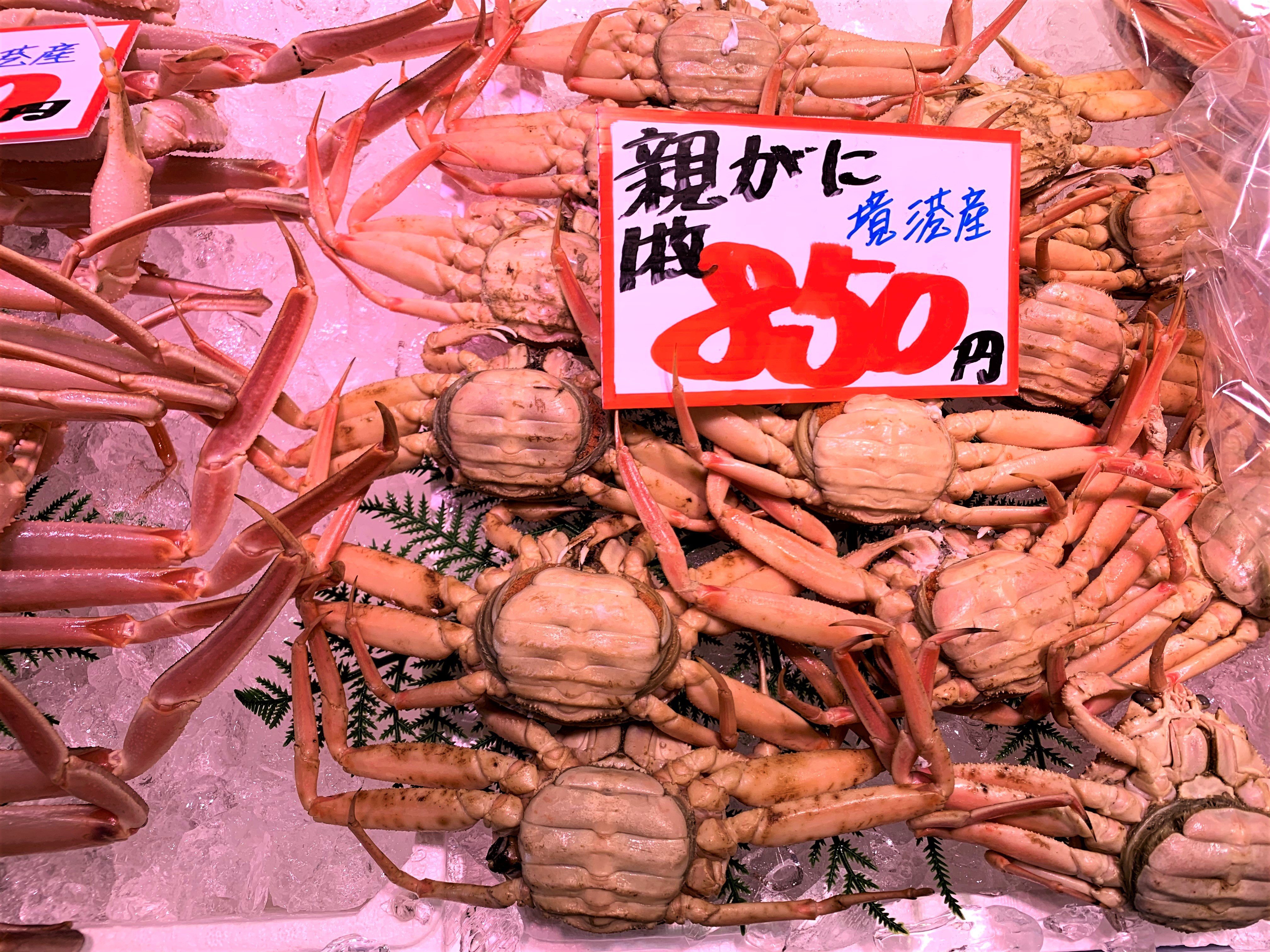 Tweets With Replies By 境港水産物直売センター 公式 Sanmakidirect Twitter