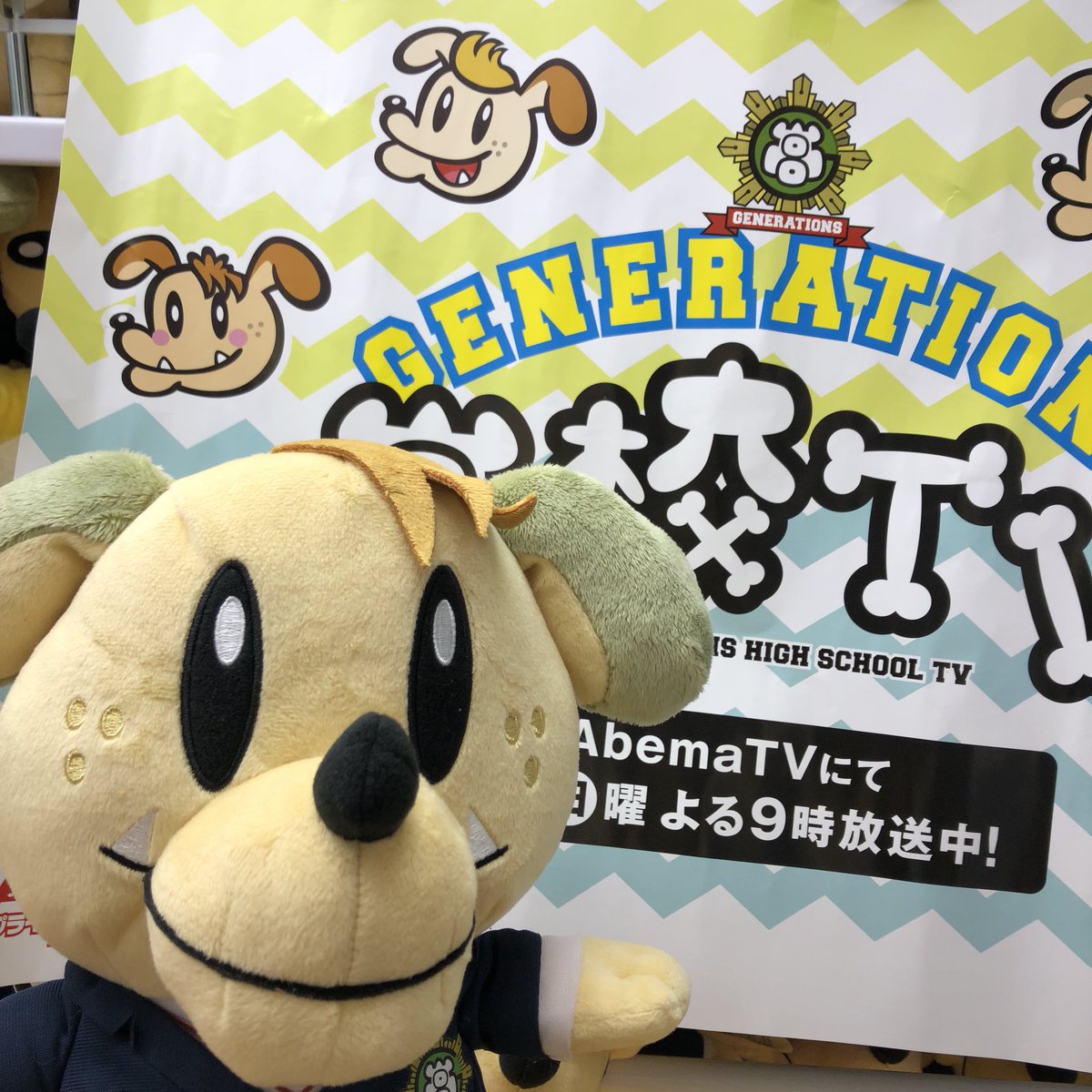 Plabi ドン キホーテuny可児店 商品情報 Generations ジェネ犬 ぬいぐるみ投入完了しました 今なら全種類ございますので お早めにご来店ください ジェネレーションズ ジェネ高 いぬ プライズ Plabi可児 可児