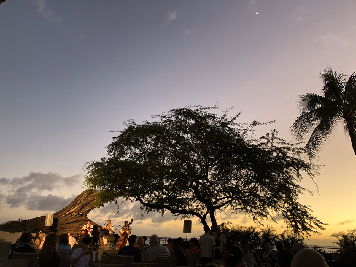 荻窪cafe Bar Quartet Happy Aloha Friday カルテット です 写真はオアフ島の有名ホテル Halekulani のバーからの夕日とフラダンスのショーの様子です 東京はすっかり寒くなってしまいましたね ハワイのような熱さはありませんが 平日限定 数量