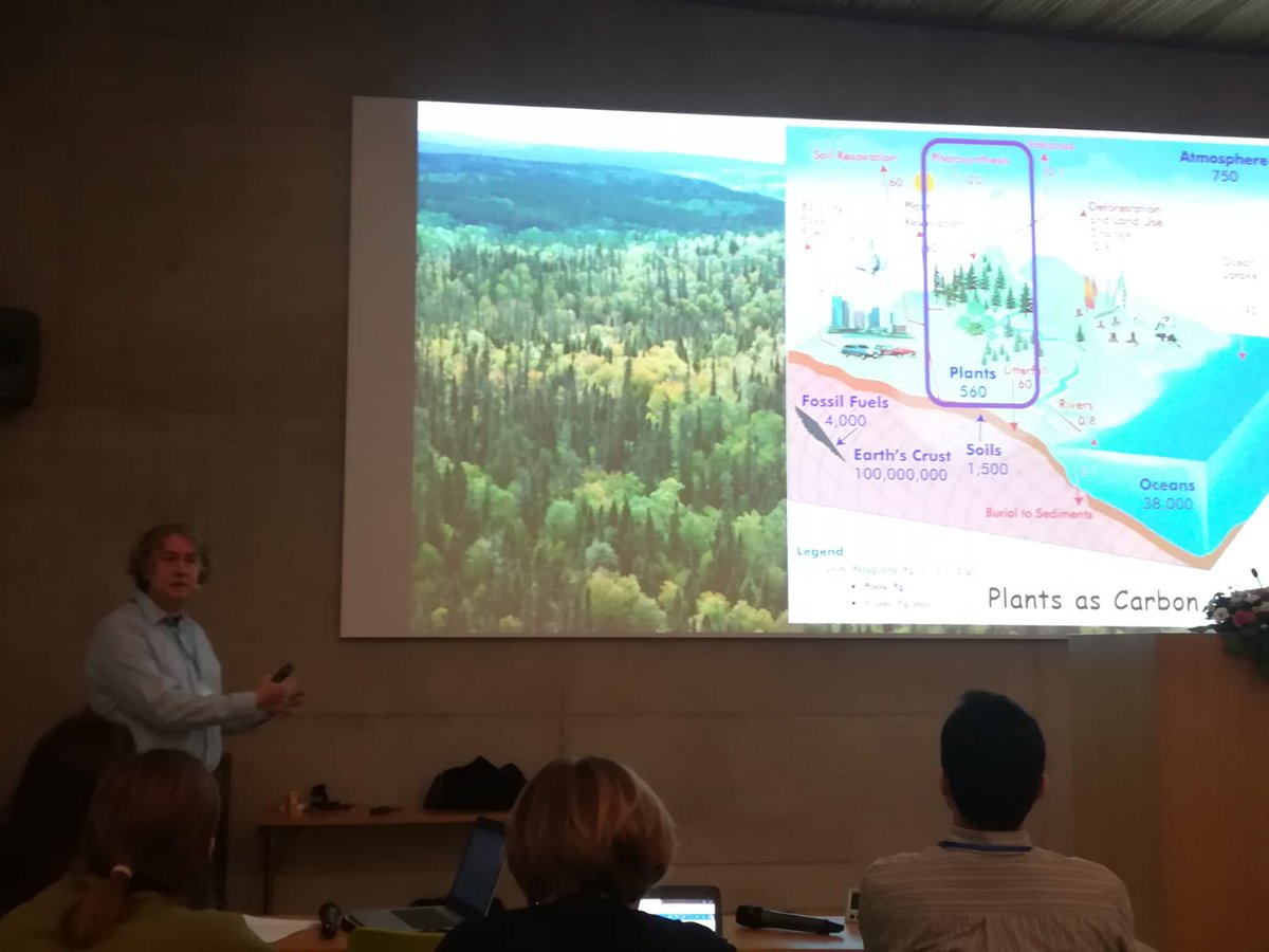 Kirk Overmyer (@kirkovermyer) on Twitter photo Final talk of #PICW: Ykä Helariutta <a href="/YHelariutta/">Yrjö Helariutta</a> presenting hormonal and transcriptional regulation in vascular patterning. <a href="/FCoE_MBPP/">FCoE MBPP</a> <a href="/slcuplants/">Sainsbury Laboratory Cambridge University (SLCU)</a> <a href="/viikki_plants/">ViPS</a> <a href="/HiLIFE_helsinki/">HiLIFE_Helsinki</a> <a href="/OEB_Helsinki/">OEB-ResPrg</a> <a href="/helsinkiuni/">University of Helsinki</a> nature.com/articles/s4147… nature.com/articles/s4158…
annualreviews.org/doi/abs/10.114… Final talk of #PICW: Ykä Helariutta <a href="/YHelariutta/">Yrjö Helariutta</a> presenting hormonal and transcriptional regulation in vascular patterning. <a href="/FCoE_MBPP/">FCoE MBPP</a> <a href="/slcuplants/">Sainsbury Laboratory Cambridge University (SLCU)</a> <a href="/viikki_plants/">ViPS</a> <a href="/HiLIFE_helsinki/">HiLIFE_Helsinki</a> <a href="/OEB_Helsinki/">OEB-ResPrg</a> <a href="/helsinkiuni/">University of Helsinki</a> nature.com/articles/s4147… nature.com/articles/s4158…
annualreviews.org/doi/abs/10.114…