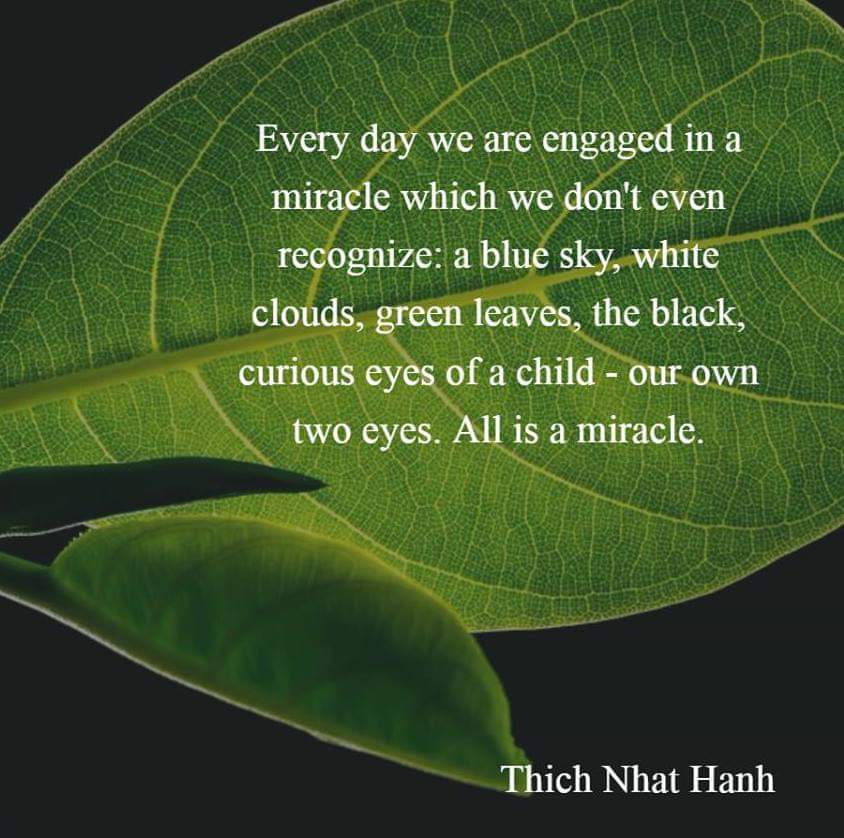 MvKutzschenbach's tweet image. &quot;Every day we are engaged in a miracle which we don&apos;t even recognize: a blue sky, white clouds, green leaves, the black, curious eyes of a child - our own two eyes. All is a miracle.&quot;~ Thich Nhat Hanh (@thichnhathanh)
#Sustainability #ComplexAdaptiveSystems