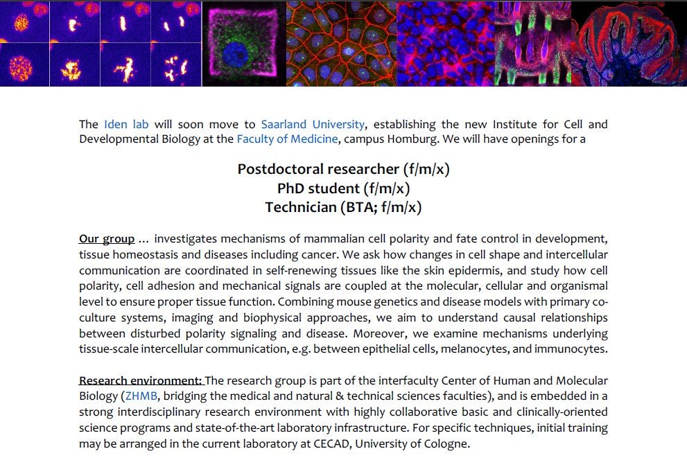 Coming soon: Iden lab 2.0 at Saarland University@Saar_Uni, AND we have open positions: Contact us/apply if you are interested in #cellpolarity, #epithelialcellbiology, #mechanobiology, tissue-scale communication & #diseasemodels bit.ly/2PYy41h bit.ly/2NuKrQI