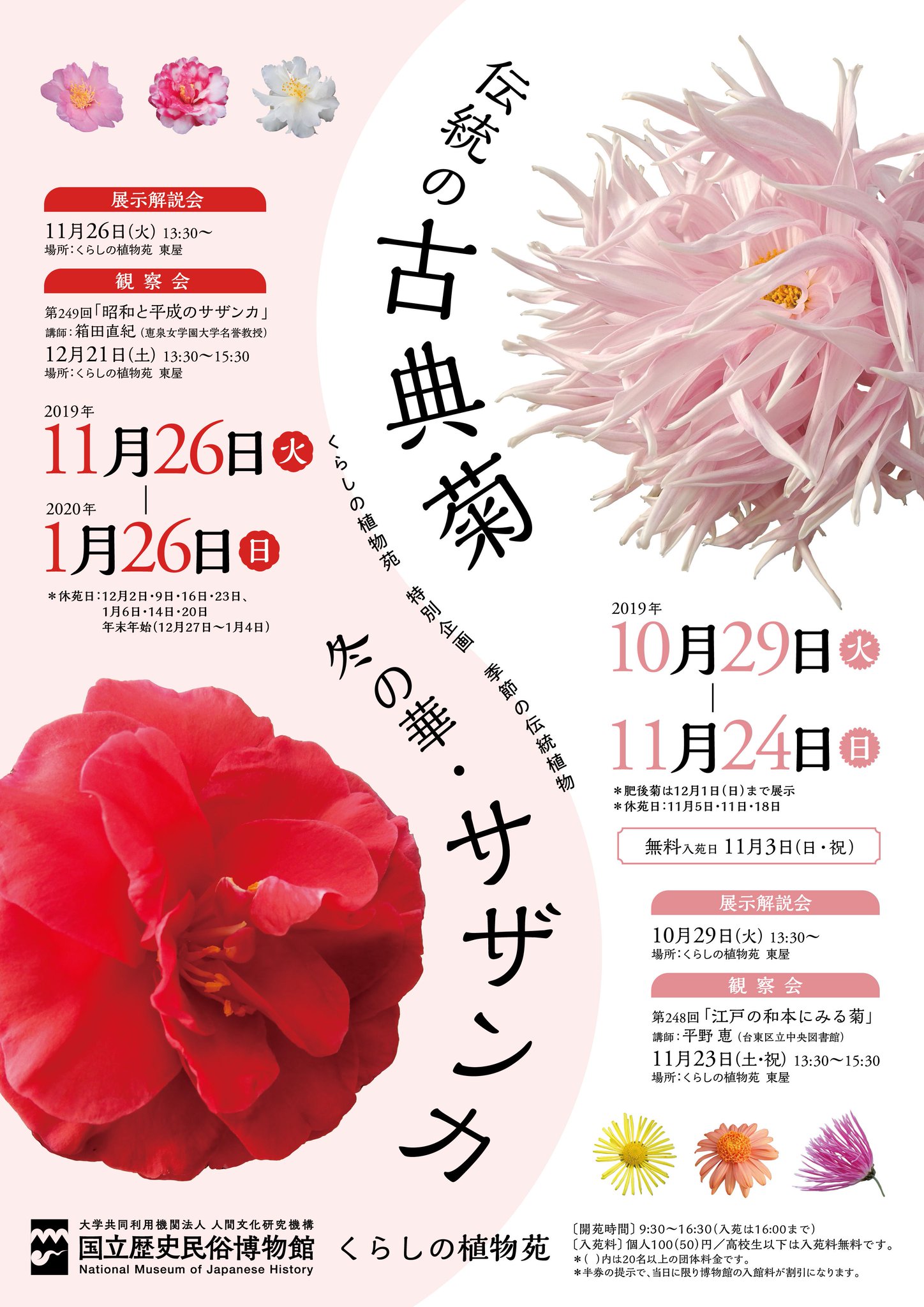 広島県の植物方言と民俗(渡辺泰邦 著) / 古本、中古本、古書籍の