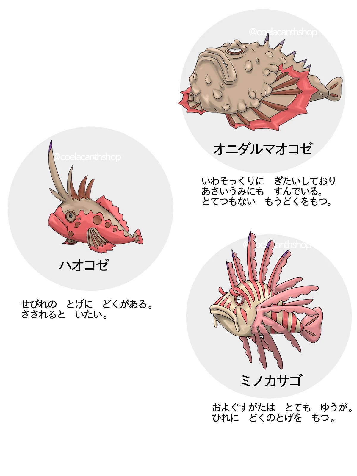ポケモン風で覚える⁉毒を持つ海の生き物たち‼