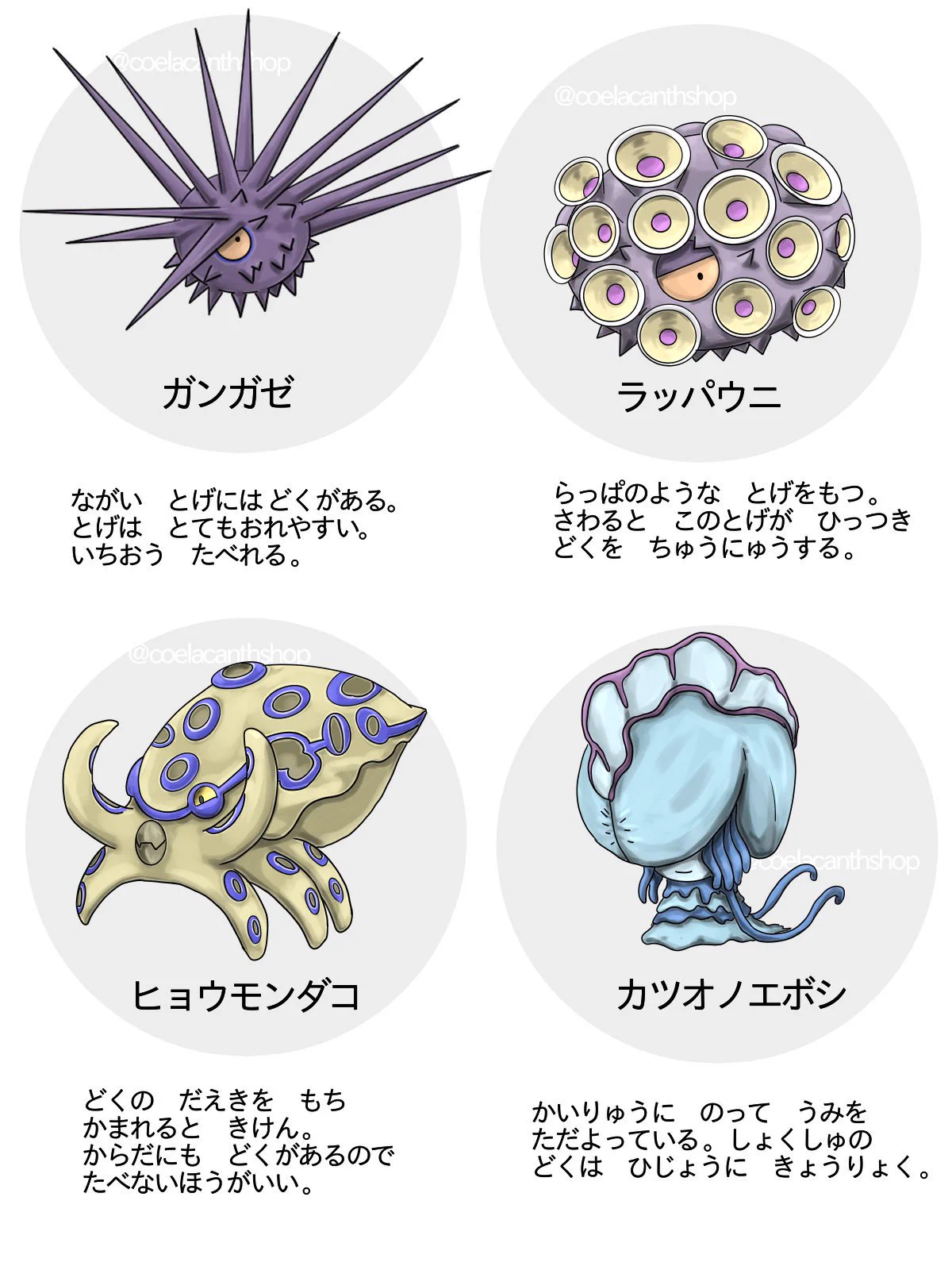 ポケモン風で覚える⁉毒を持つ海の生き物たち‼