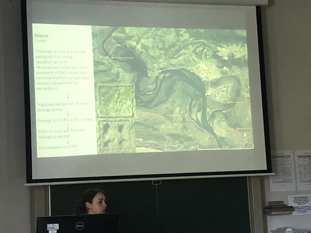 @phair_nikki telling us about her #eDNA #metabarcoding #community #DNA work in the Knysna lagoon. Specifically, she is looking at invertebrate macrofauna associated with #seagrass #sediments. @ProjectSeaStore @SANBI_FBIP