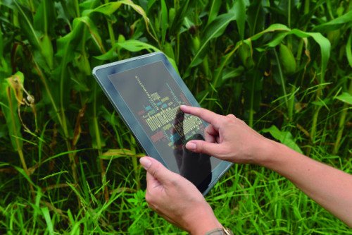 NaturezaePaz's tweet image. AGRICULTURA – UMA ATIVIDADE EM MOVIMENTO bit.ly/2PW3vcj