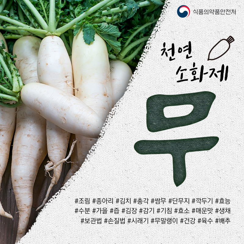 TheMFDS's tweet photo. [오늘의 식재료] 천연 소화제 '무'

아삭아삭! 깍두기, 김장 김치 등 다양한 음식에 활용되는 #제철 맞은 #무. 무는 소화를 촉진하는 #효소 가 많이 들어있어 천연 #소화제 로 불리기도 합니다. 무를 활용한 #밥도둑 반찬까지 만드는 꿀팁 대공개! https://t.co/Zt5SVO29vP
