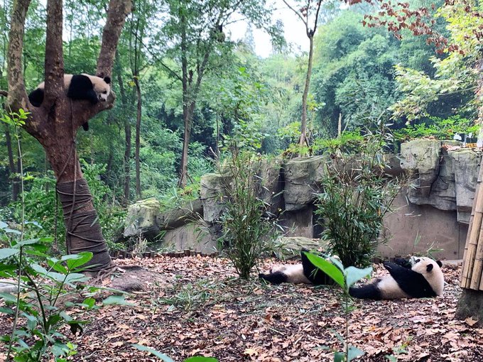 Twitterのコスプレ画像20