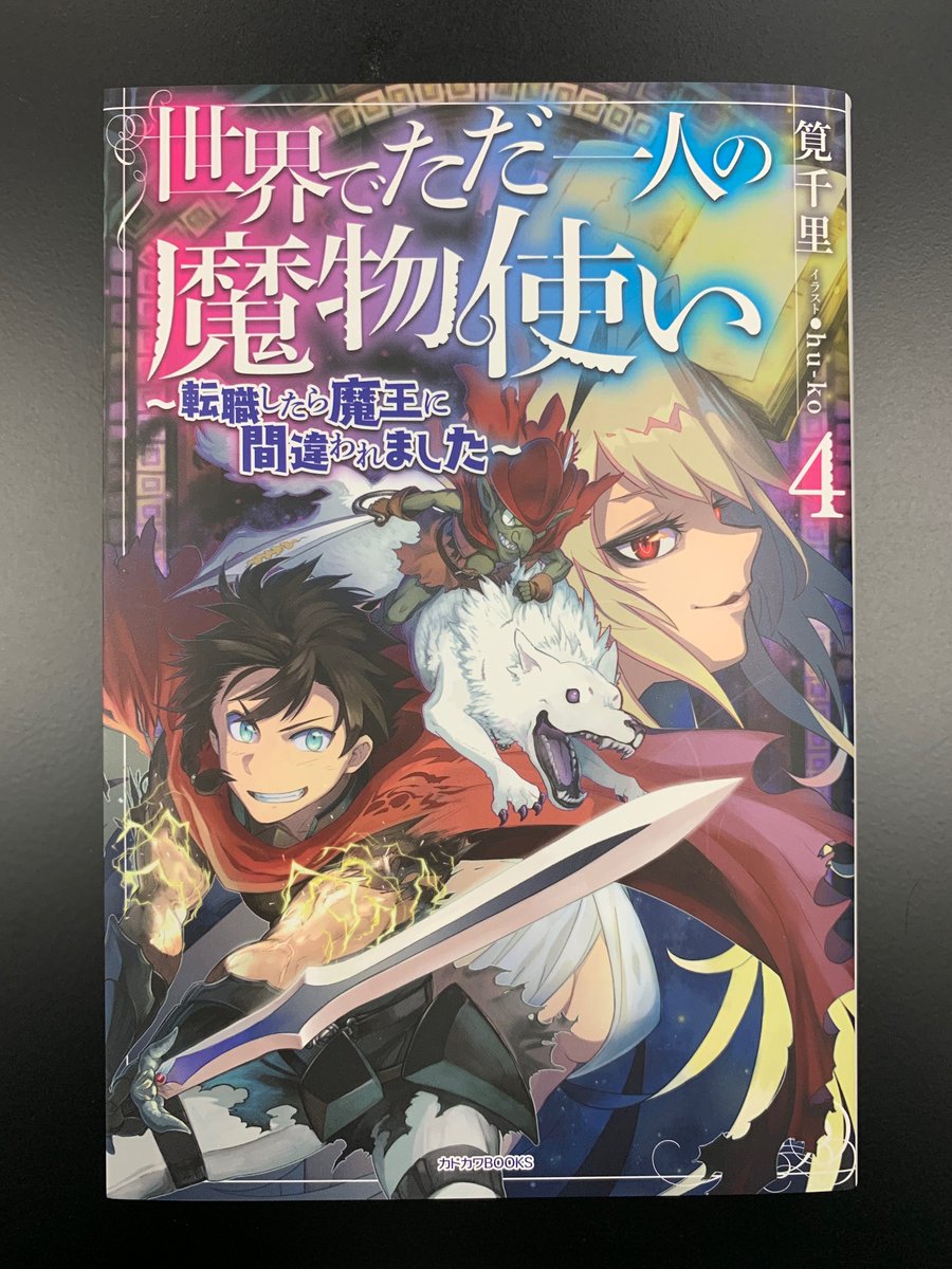 世界でただ一人の魔物使い 世界でただ一人の魔物使い