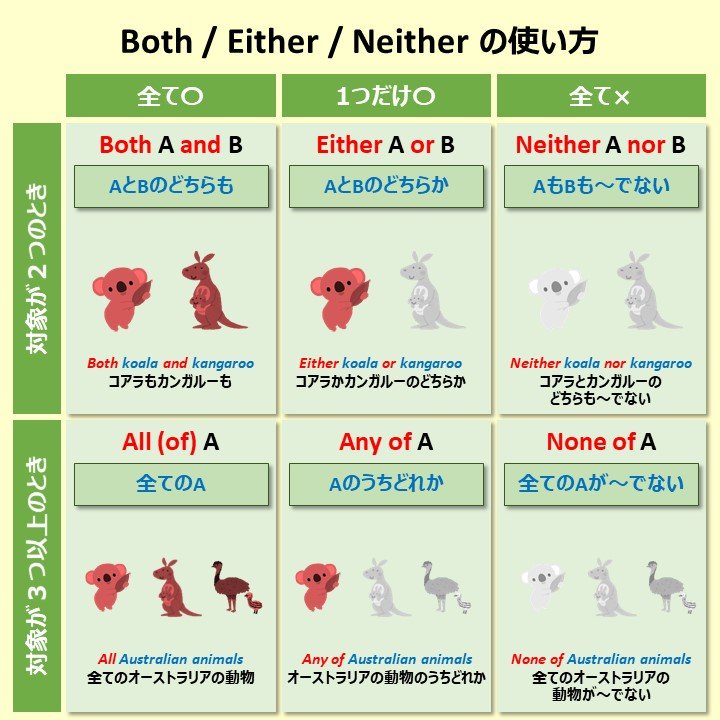 こあたん こあらの学校 Both Either Neither の使い方