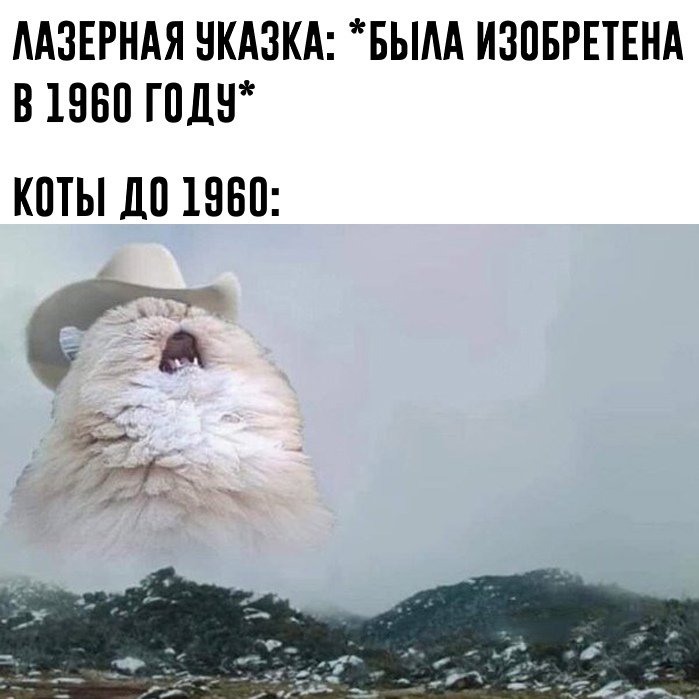 EI1yipnX0AEWvtT?format=jpg&name=900x900