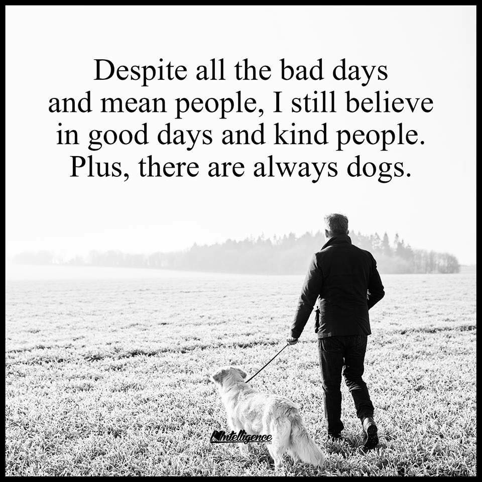 PTSDprojects's tweet image. There are always dogs.
 # PTSD Projects Military Veterans Closed Support Group - facebook.com/groups/7714776…

# PTSD Projects Caregivers Closed Support Group - facebook.com/groups/1713184…

Visit our website: ptsdprojects.com
#PTSDProjects #everyoneneedsabuddy #talktoavettoday