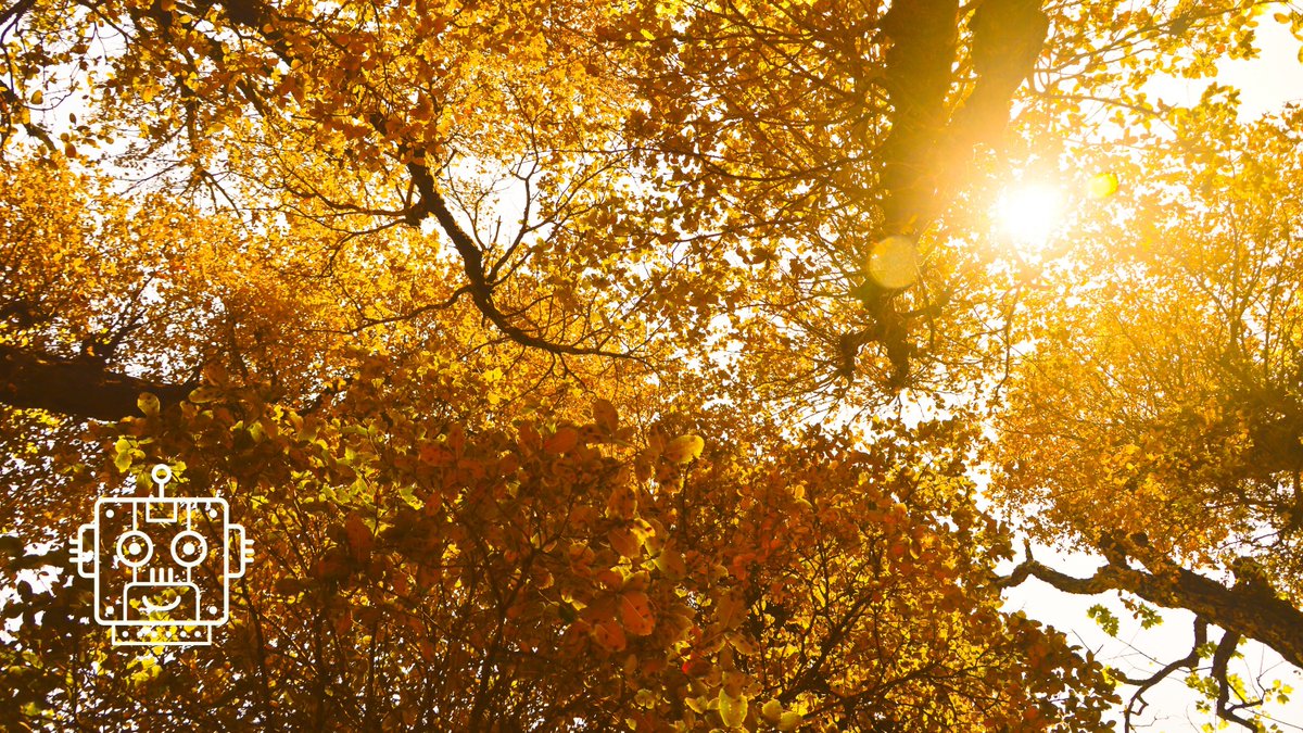 And what's your definition of open space for this weekend? 😊
#weekend #worklifebalance